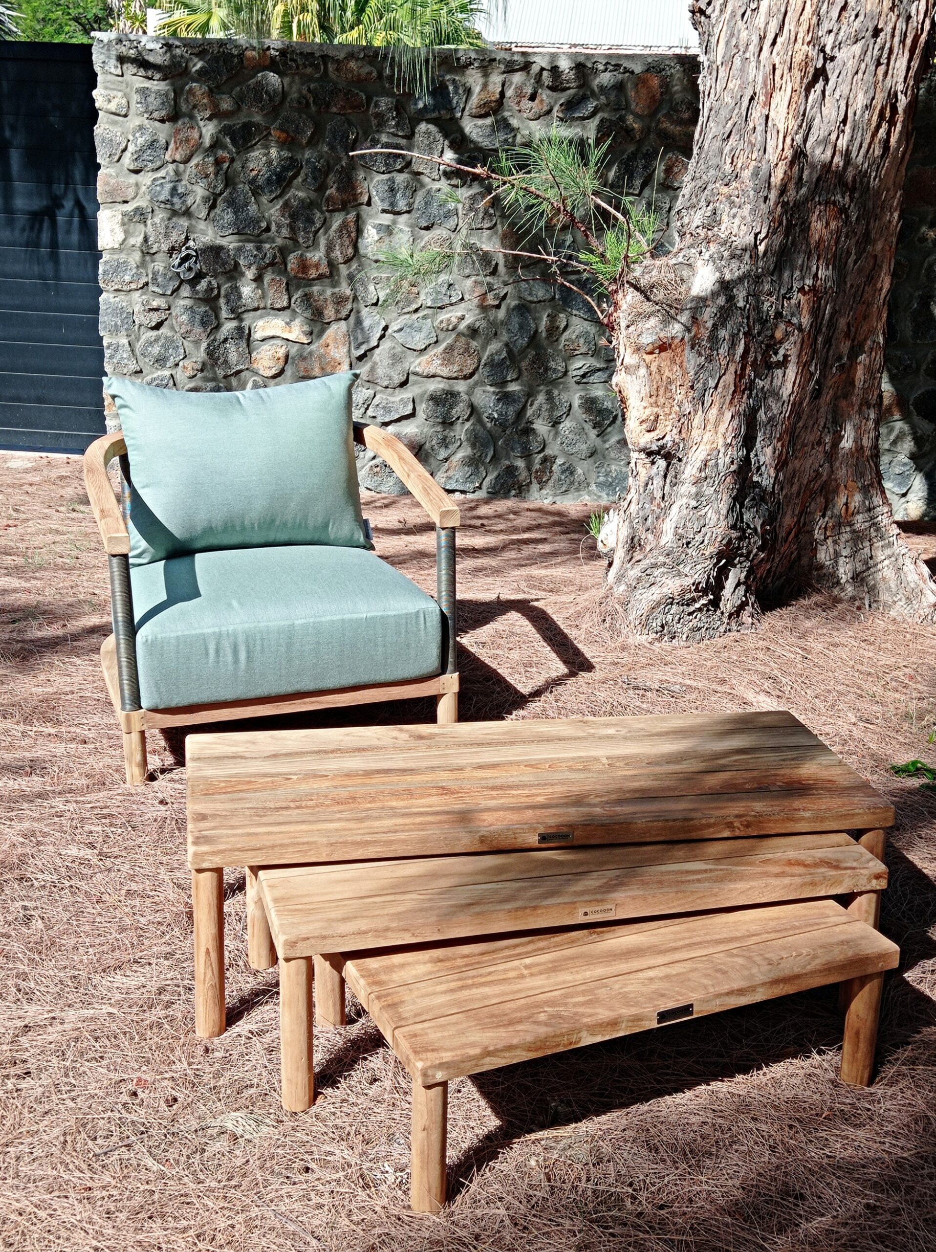 croisette hvIMG_20250217_091027cv